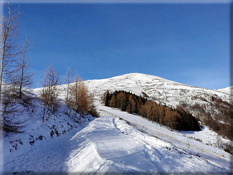 foto Cascina Giassit